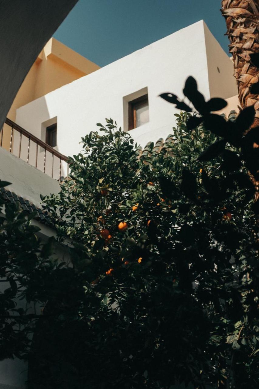 Nosade Venue Bed & Breakfast Marakeş Dış mekan fotoğraf
