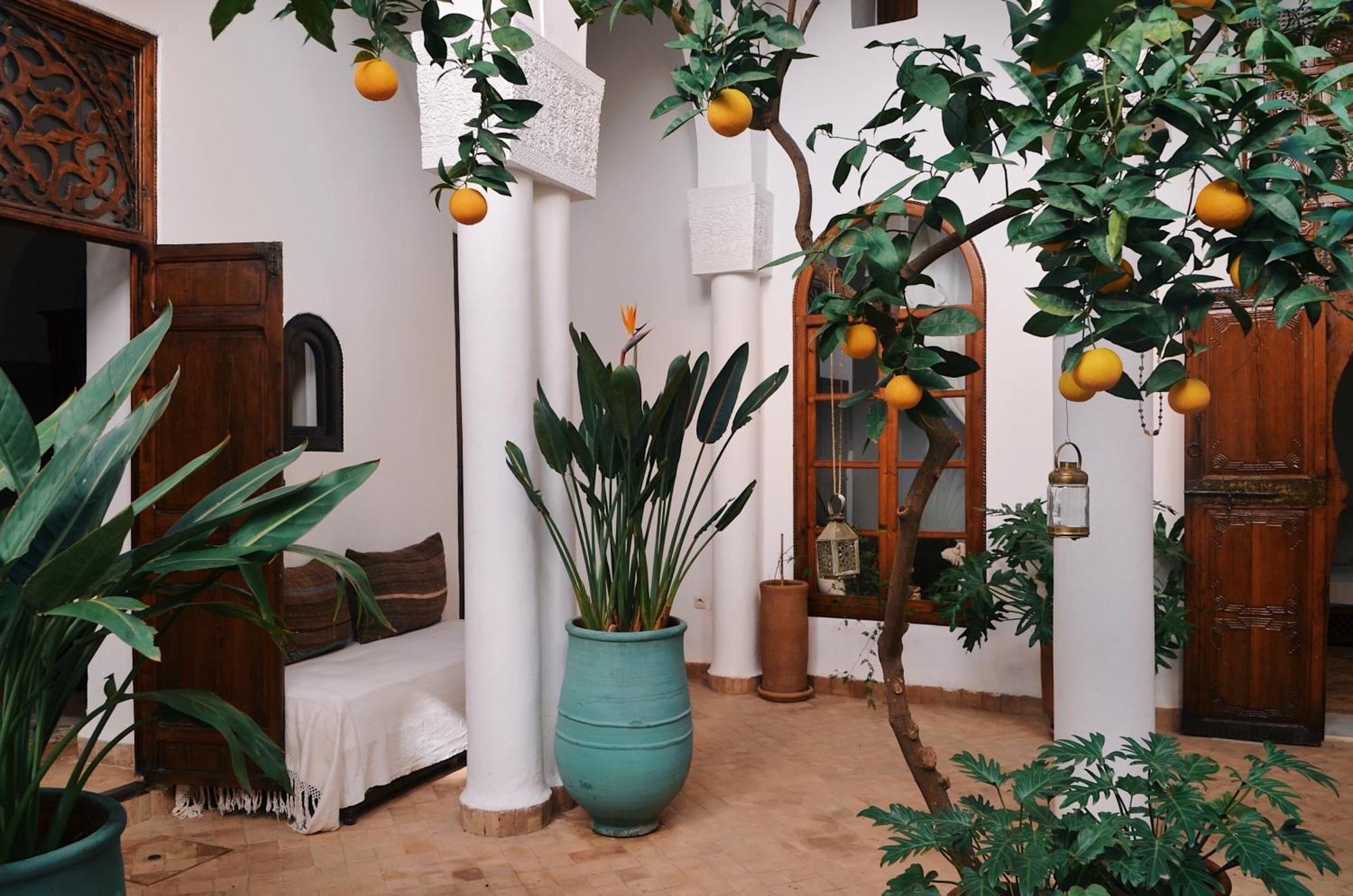 Nosade Venue Bed & Breakfast Marakeş Dış mekan fotoğraf